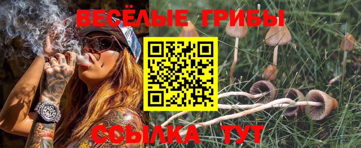 Галлюциногенные грибы мухоморы Томск